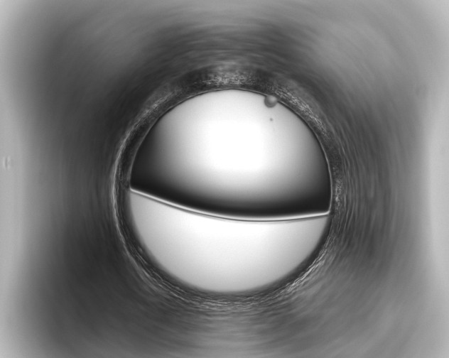 X0000096460722200801241117