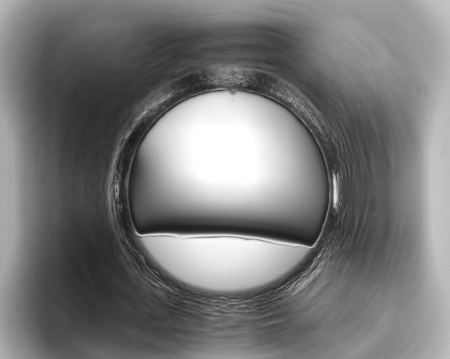 X0000096460723200801241117