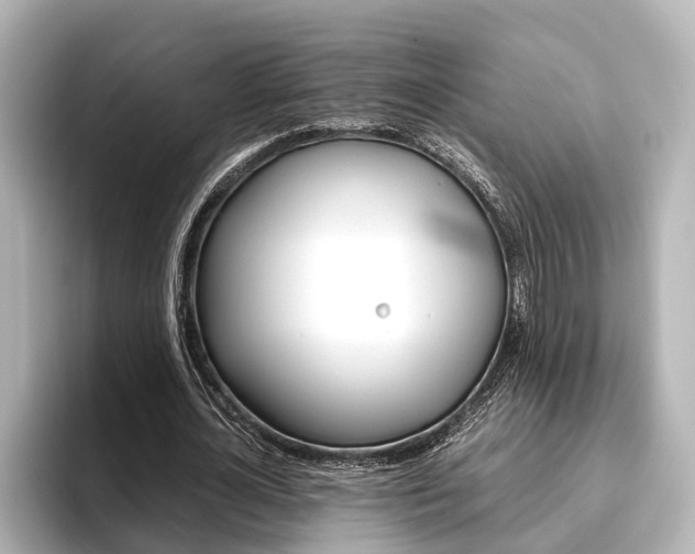 X0000096460724200801241117