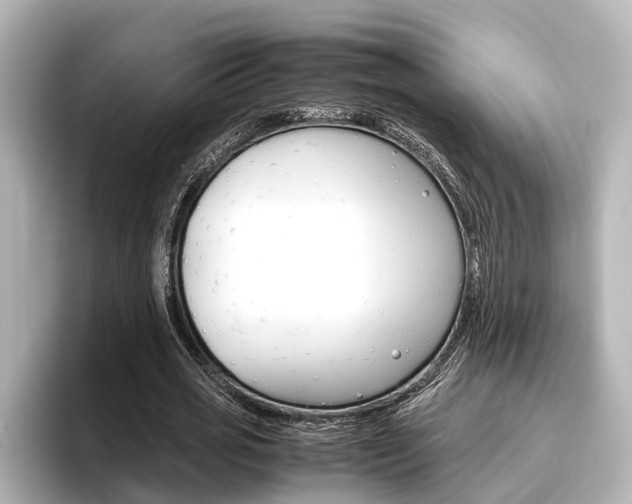 X0000096460725200801241117