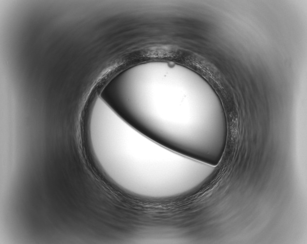 X0000096460727200801241117