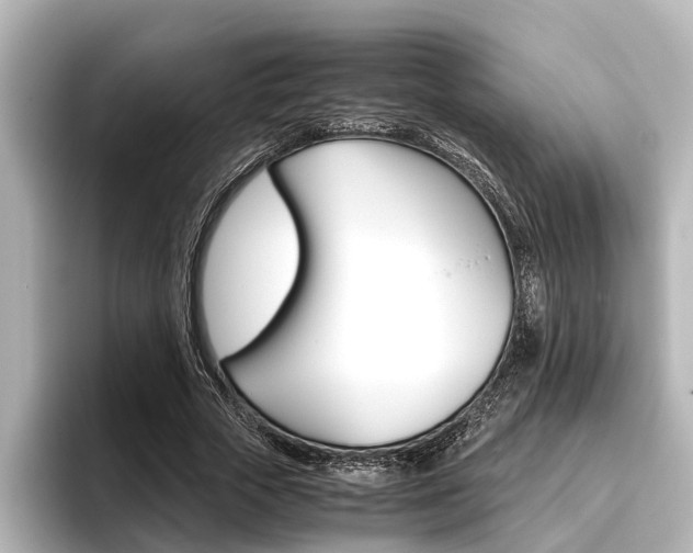 X0000096460729200801241117
