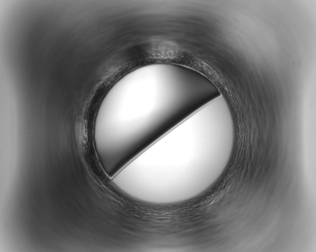 X0000096460731200801241117