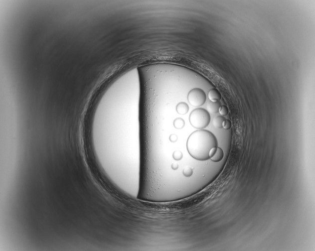 X0000096460734200801241117