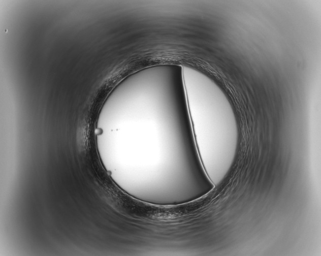 X0000096460735200801241117