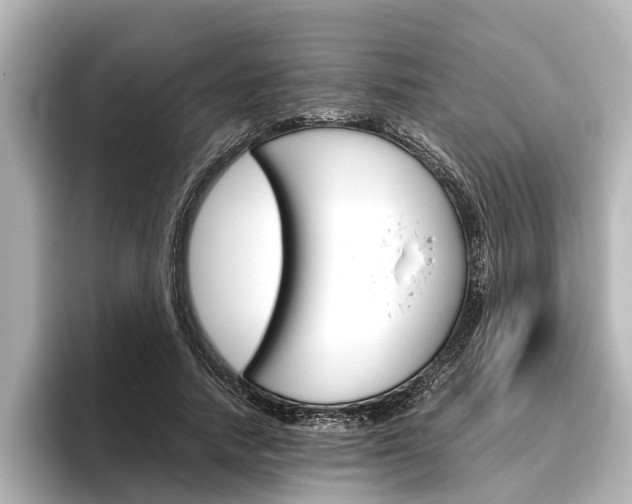 X0000096460738200801241117