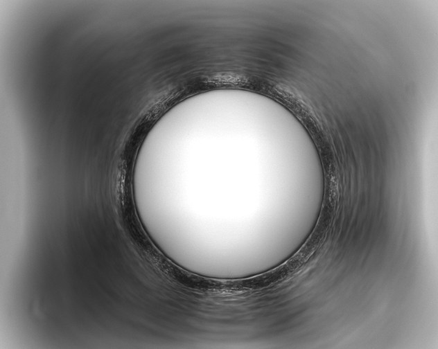 X0000096460739200801241117