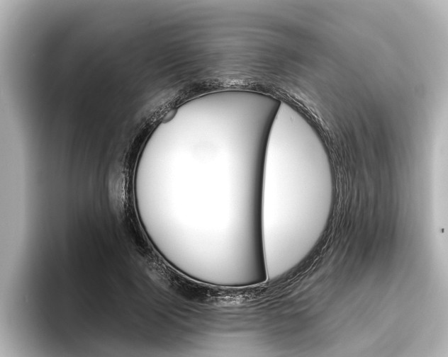 X0000096460740200801241117