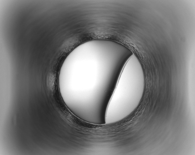 X0000096460742200801241117