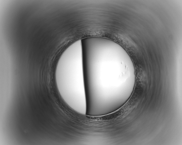 X0000096460744200801241118