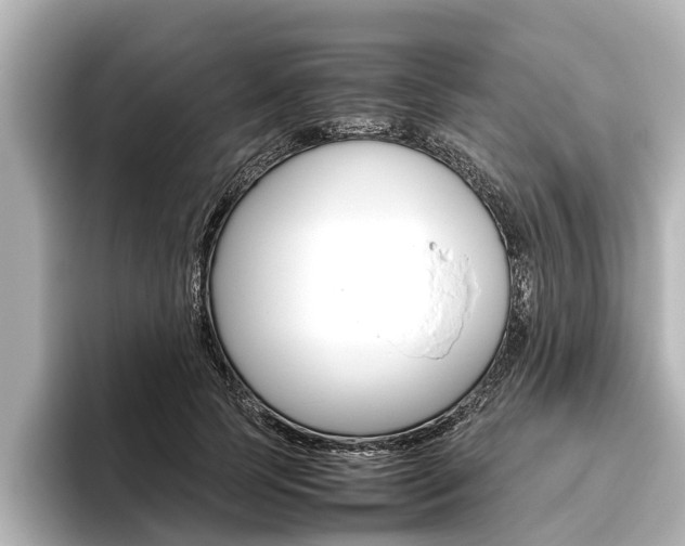 X0000096460745200801241118