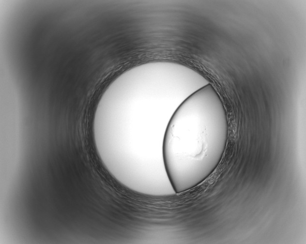 X0000096460746200801241118