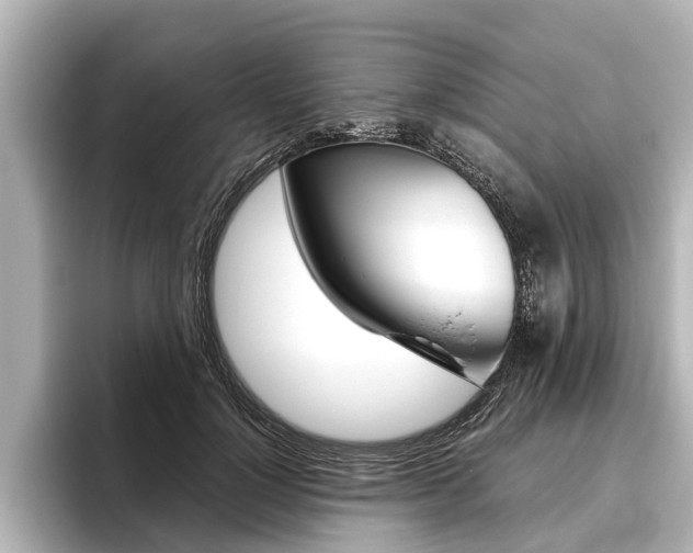 X0000096460748200801241118