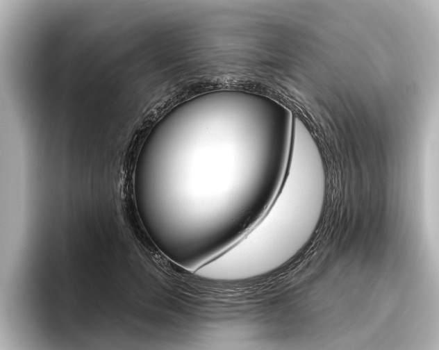X0000096460750200801241118