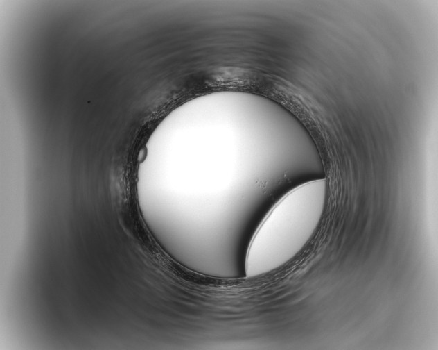 X0000096460751200801241118
