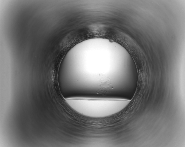 X0000096460752200801241118