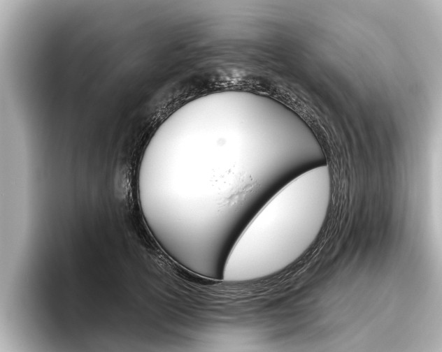 X0000096460754200801241118