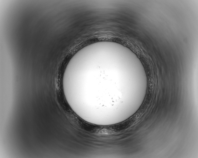 X0000096460755200801241118