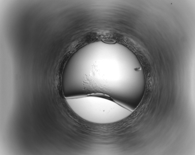 X0000096460756200801241118