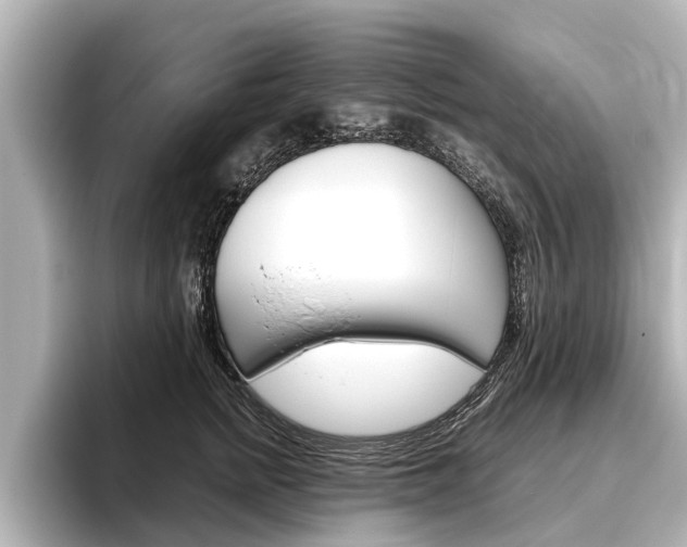 X0000096460758200801241118