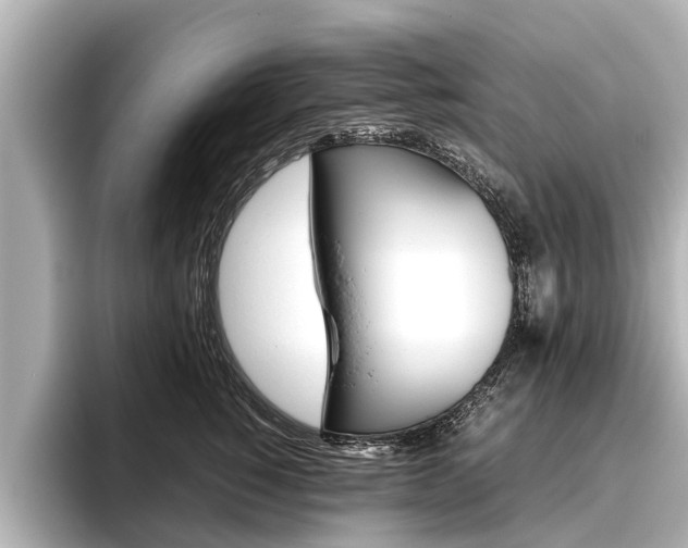 X0000096460760200801241118