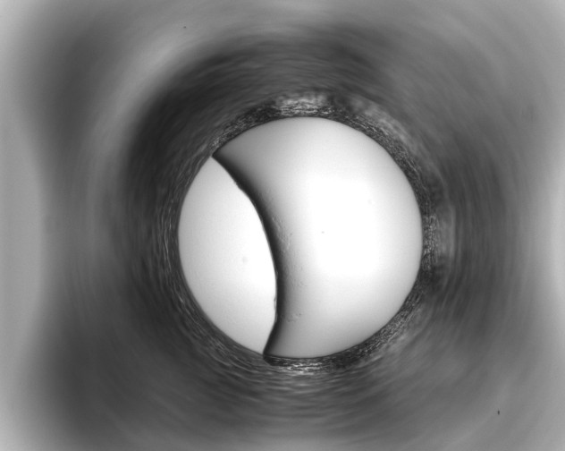 X0000096460761200801241118