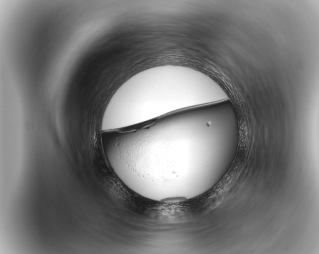 X0000096460762200801241118