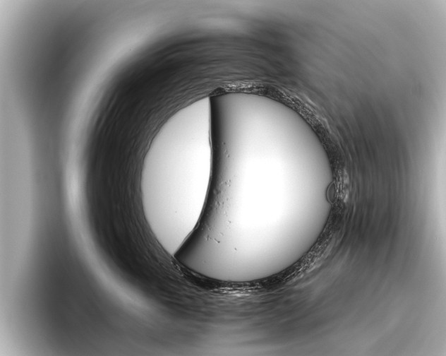 X0000096460763200801241118
