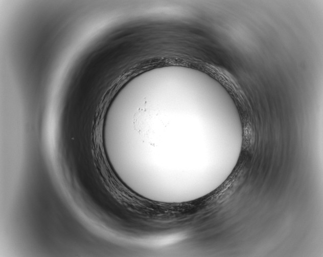 X0000096460765200801241118