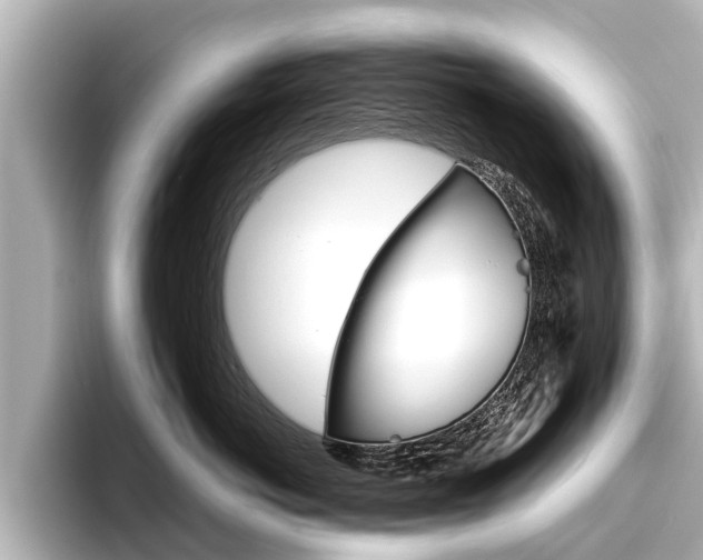 X0000096460766200801241118