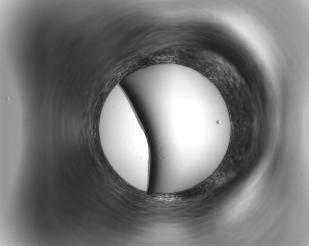X0000096460767200801241118