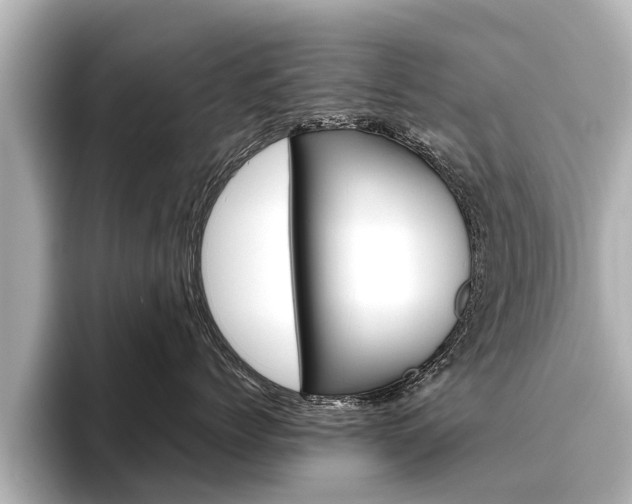 X0000096460768200801241118