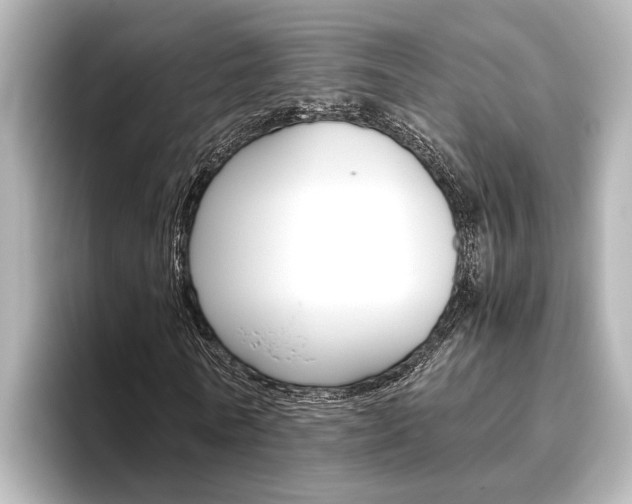 X0000096460770200801241117