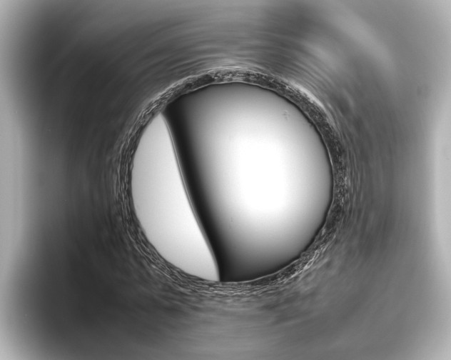 X0000096460775200801241117