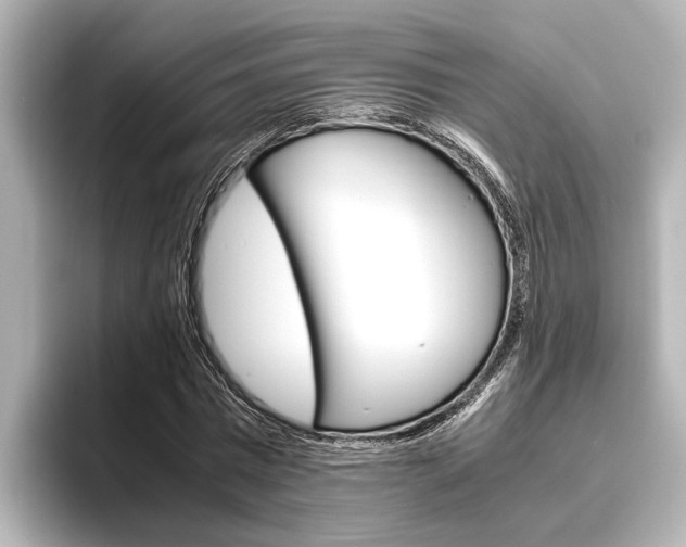 X0000096460777200801241117