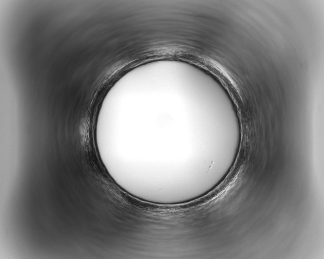X0000096460778200801241117