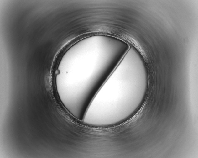 X0000096460780200801241117