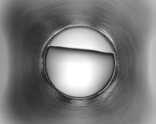 X0000096460781200801241117