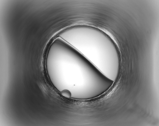 X0000096460783200801241117