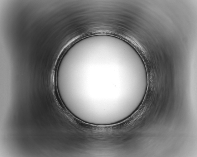X0000096460790200801241117