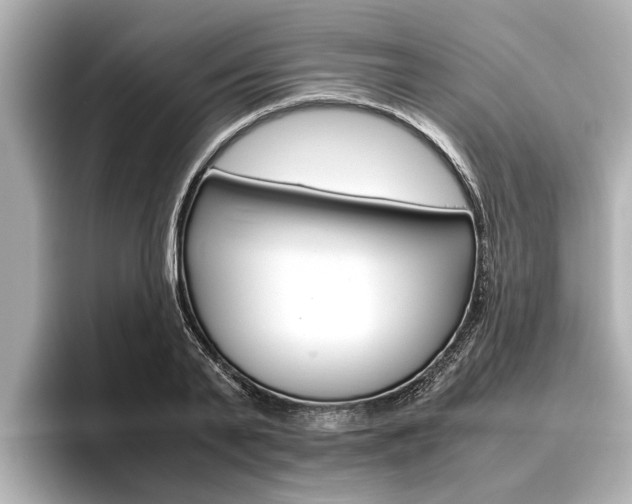 X0000096460791200801241117