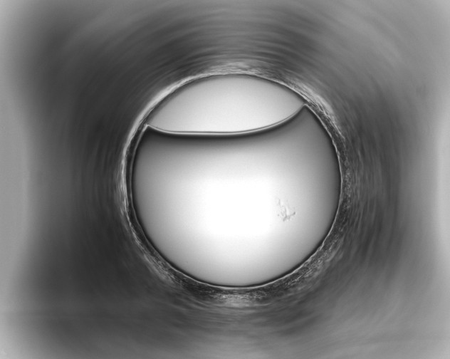 X0000096460792200801241117