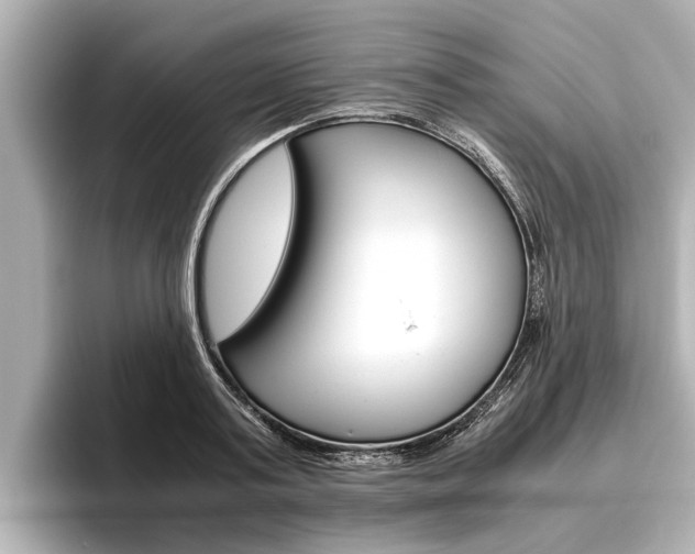 X0000096460795200801241117