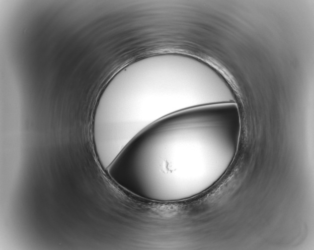 X0000096460801200801241117