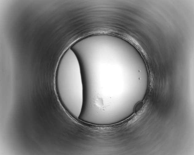 X0000096460802200801241117