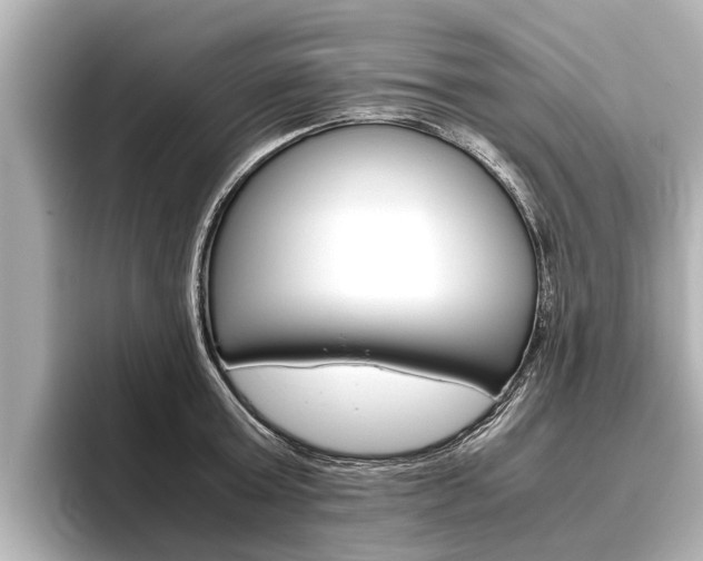 X0000096460803200801241117