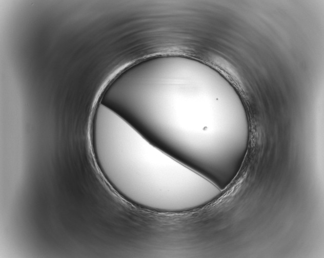 X0000096460804200801241117