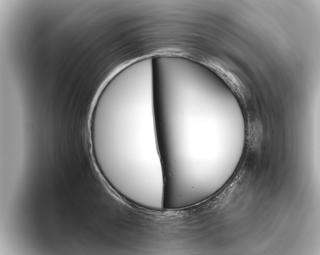 X0000096460808200801241117