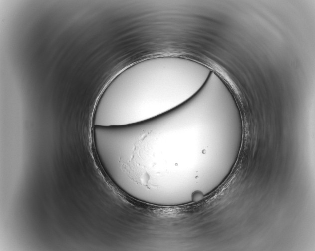 X0000096460810200801241117