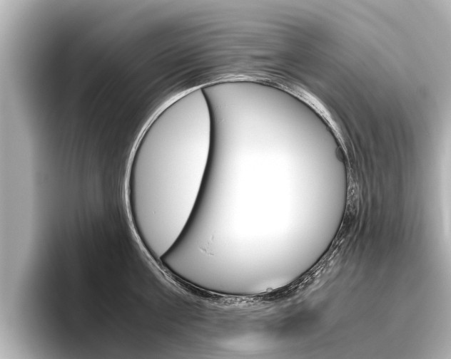 X0000096460811200801241117